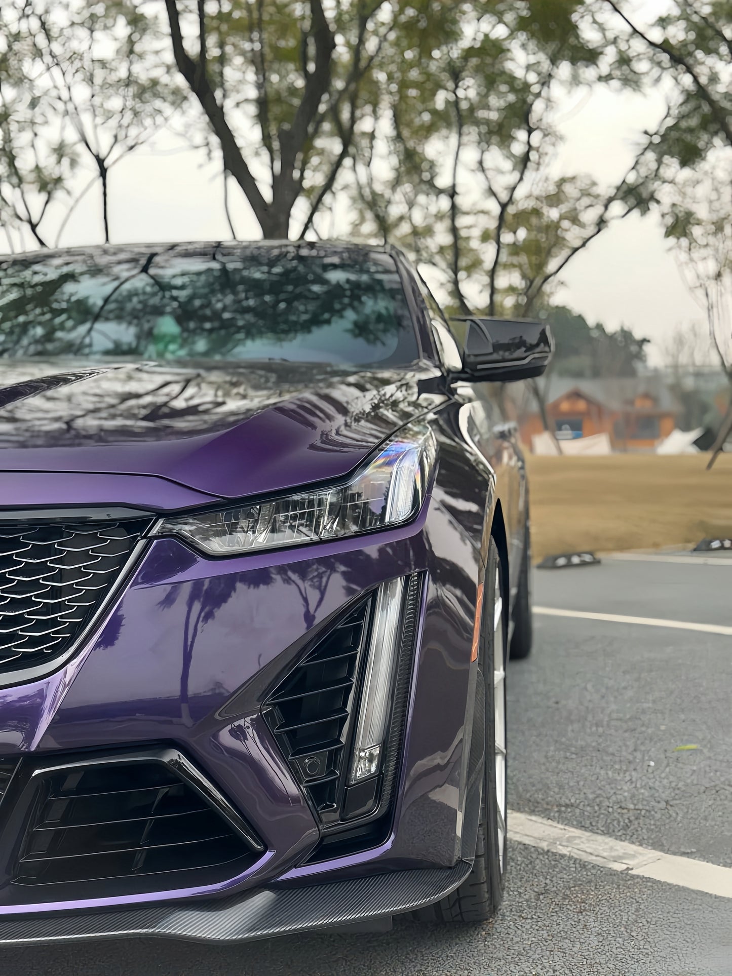 Anole Gloss Plus Midnight Purple Car Vinyl Wrap