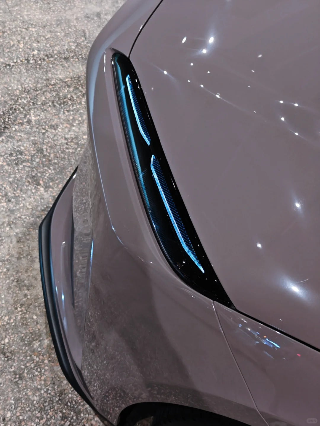 Anole High Glossy Dove Gray Pigeon Gray Vinyl Wrap