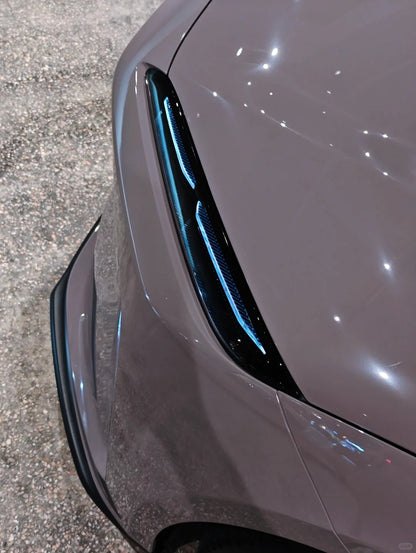 Anole High Glossy Dove Gray Pigeon Gray Vinyl Wrap