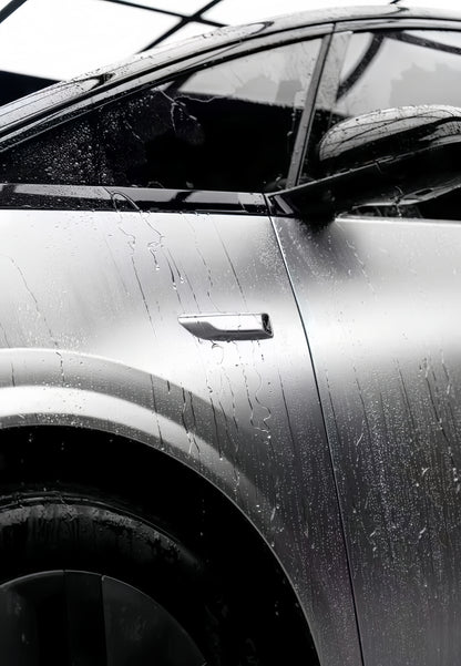 Anole Matte Chrome Silver Stain Ceramics Silver Vinyl Car Wrap