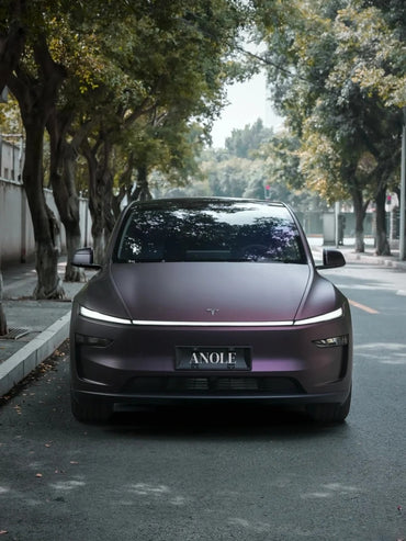 Anole Matte Dark Purple Vinyl Wrap Car