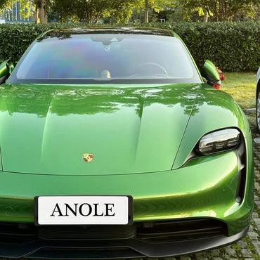 Anole Glossy Metallic Mamba Green Vinyl Car Wrap