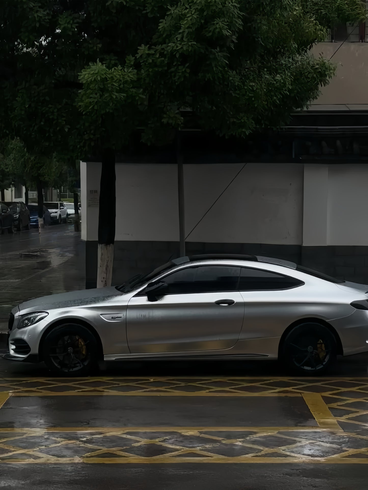 Anole Matte Chrome Silver Stain Ceramics Silver Vinyl Car Wrap