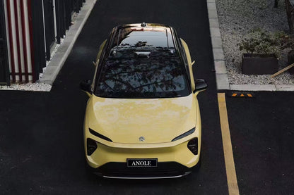 Anole High Glossy Pastel Yellow Vinyl Car Wrap