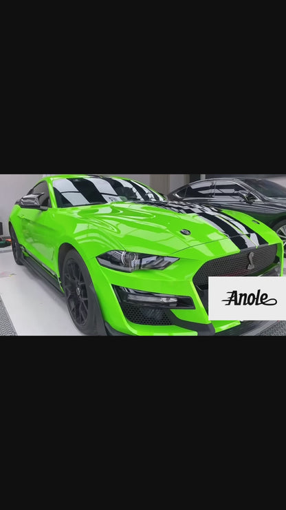 Anole High Glossy Lizard Green Vinyl Car Wrap